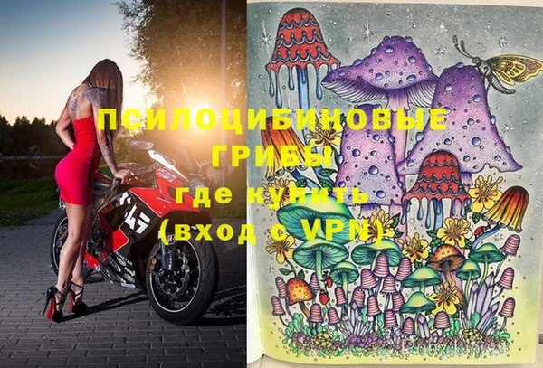 ECSTASY Пролетарск
