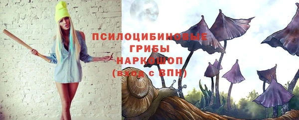прущая мука Абаза
