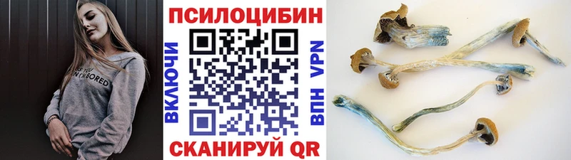 Галлюциногенные грибы мицелий  Кяхта 