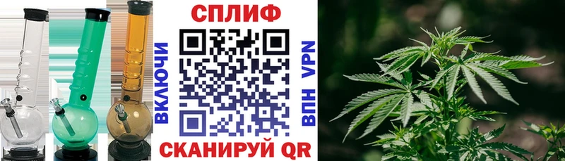 Каннабис SATIVA & INDICA Кяхта